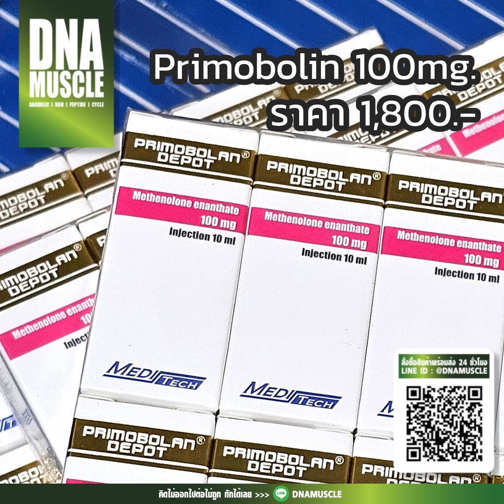 ไม่มีชื่อ 31_20260314124343