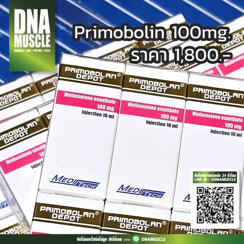 ไม่มีชื่อ 31_20260314124343