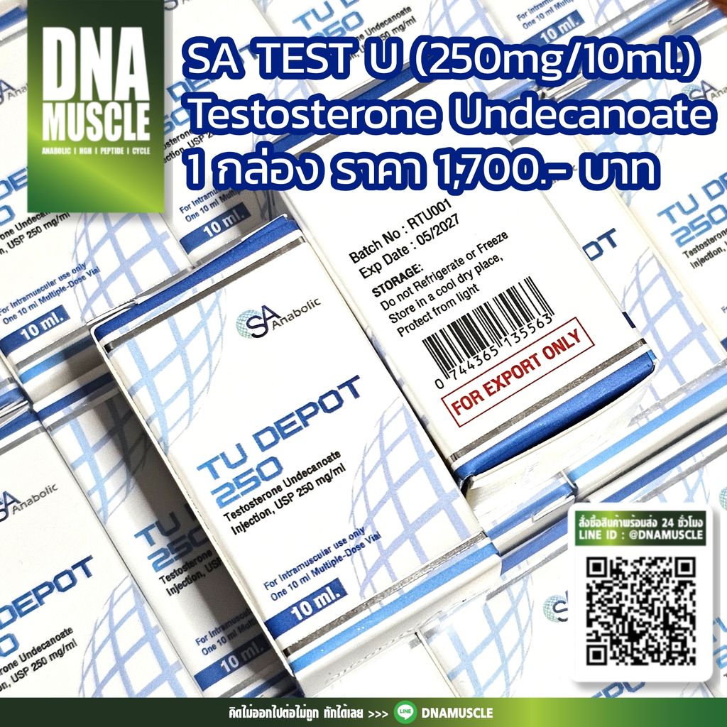 ไม่มีชื่อ 31_20251127070606