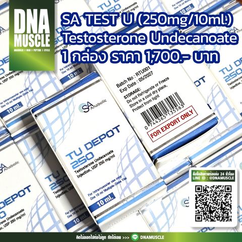 ไม่มีชื่อ 31_20251127070606