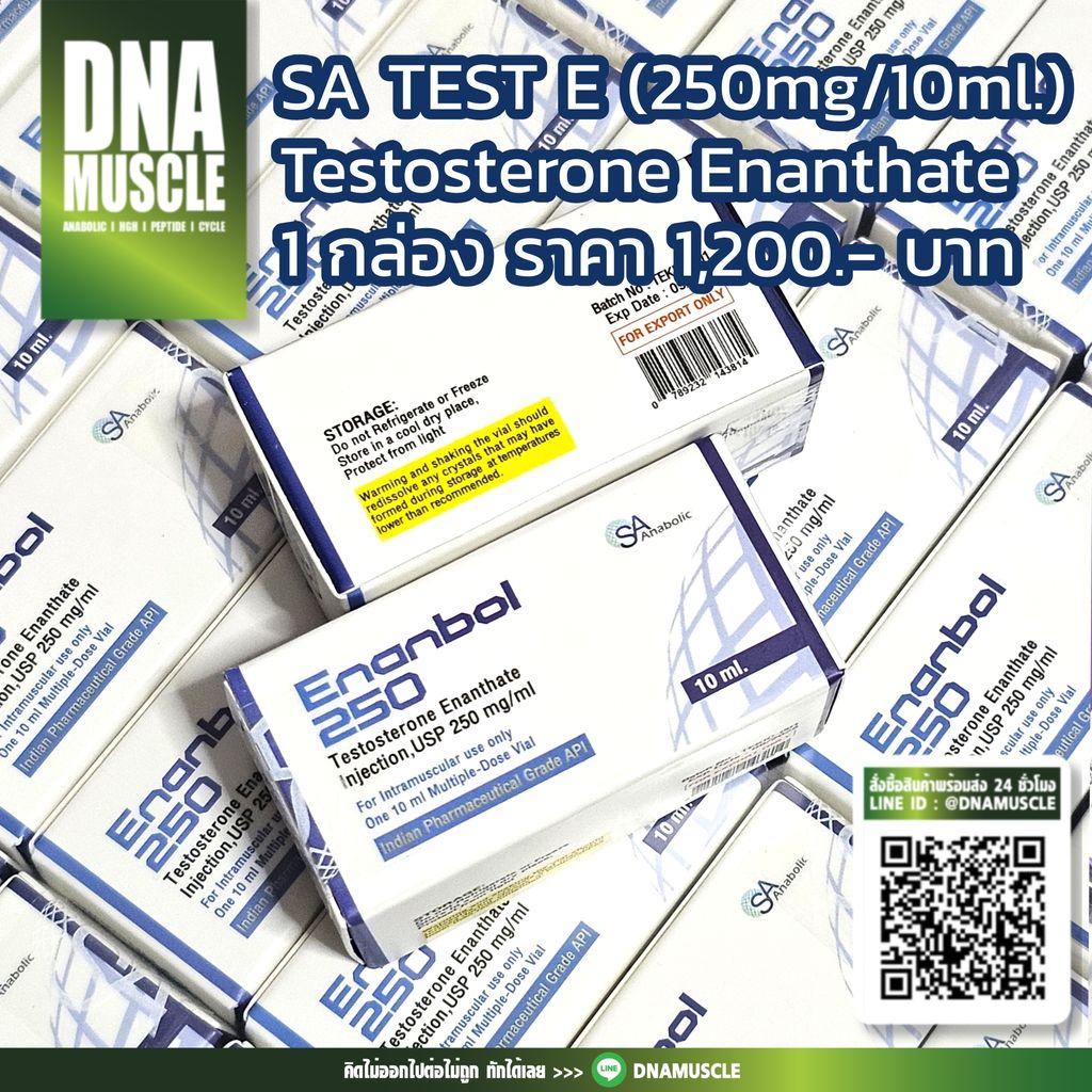 ไม่มีชื่อ 31_20251127070947