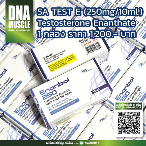 ไม่มีชื่อ 31_20251127070947