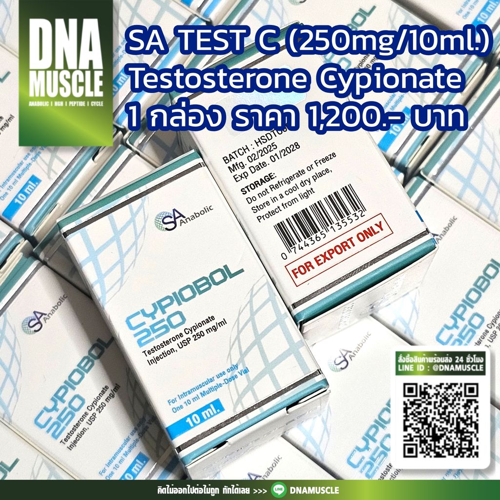 ไม่มีชื่อ 31_20251127070752