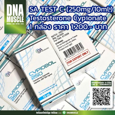 ไม่มีชื่อ 31_20251127070752