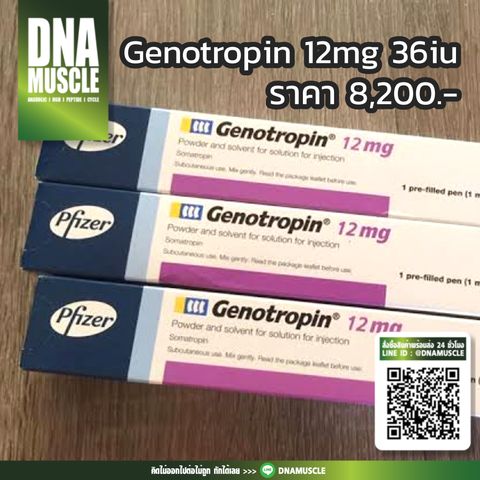 ไม่มีชื่อ 31_20260314121840 (1)