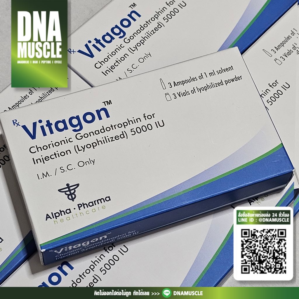 ไม่มีชื่อ 31_20250829113105 (1)