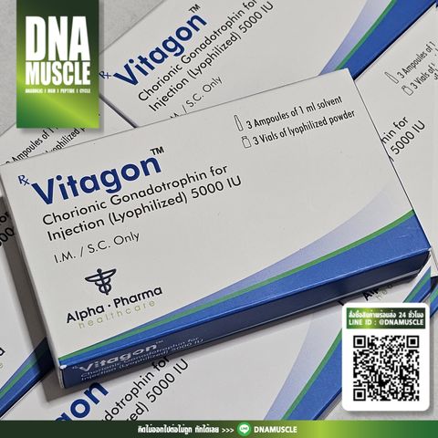 ไม่มีชื่อ 31_20250829113105 (1)