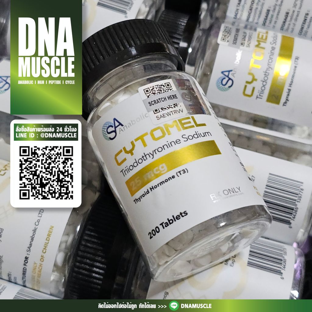 ไม่มีชื่อ 31_20250716075523