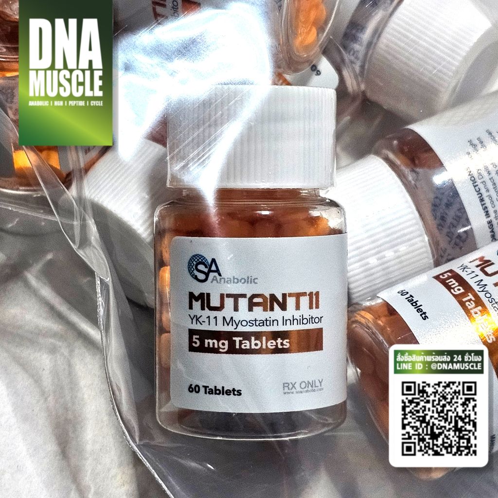 ไม่มีชื่อ 31_20250816190008 (1)