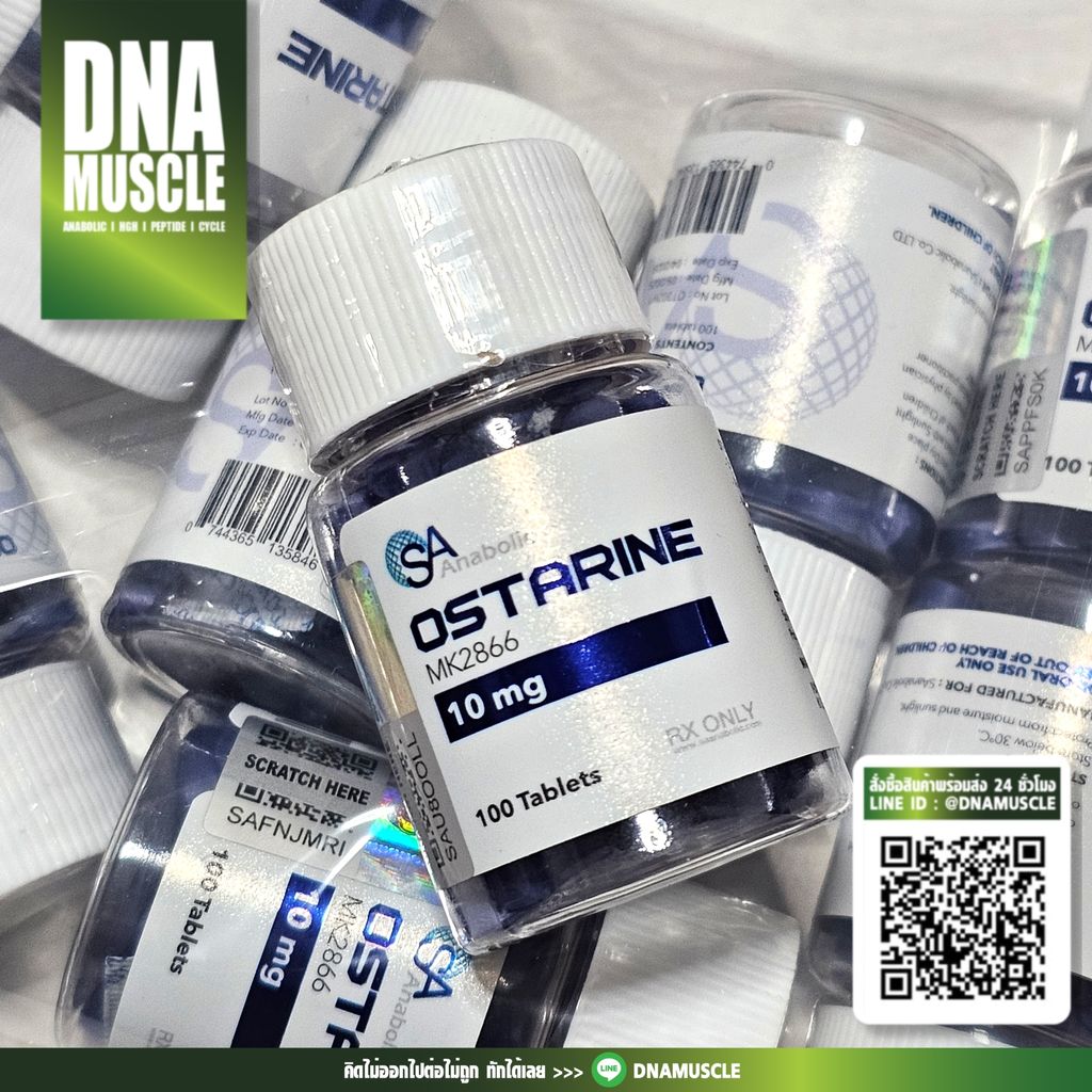 ไม่มีชื่อ 31_20250905023933