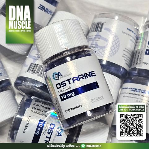 ไม่มีชื่อ 31_20250905023933