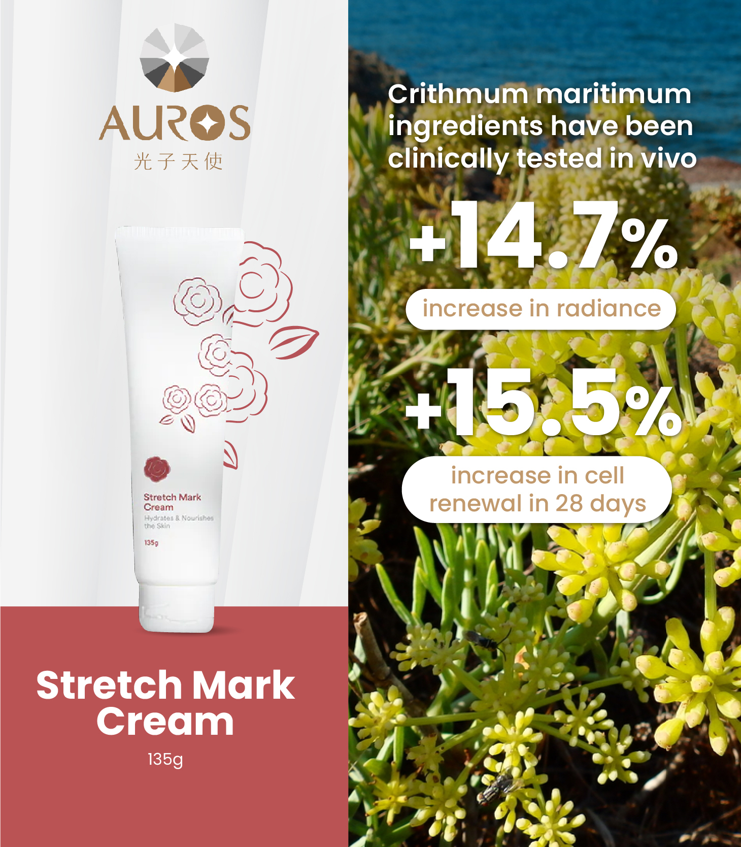 Auros Baby design_FA2_Mobile-05