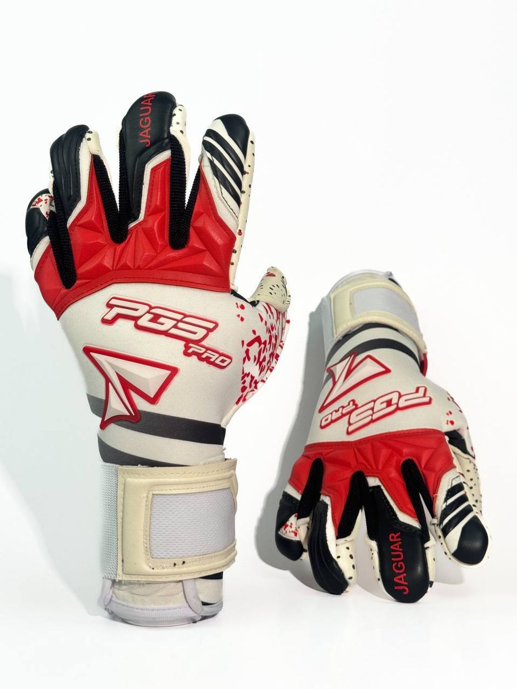 photo_2024-08-26_18-55-16