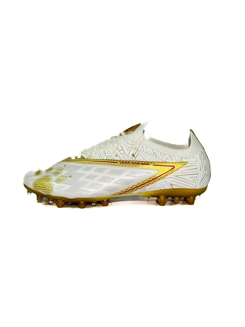 IMG_8824-1729840857869