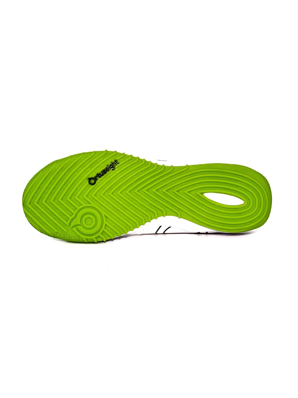 IMG_20241026_124536_747