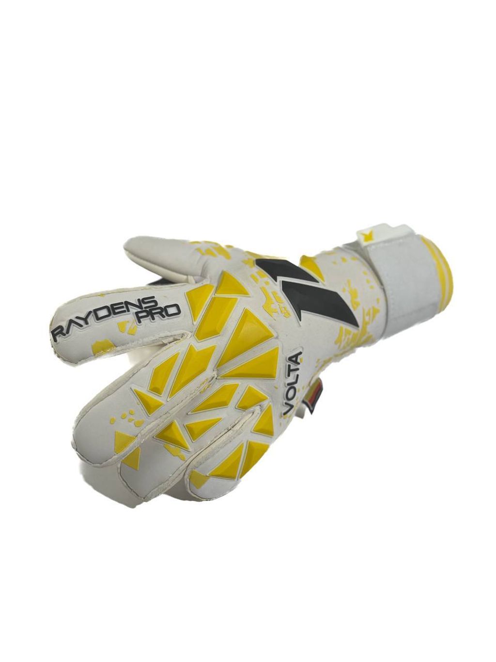 IMG_4348-1735891535699