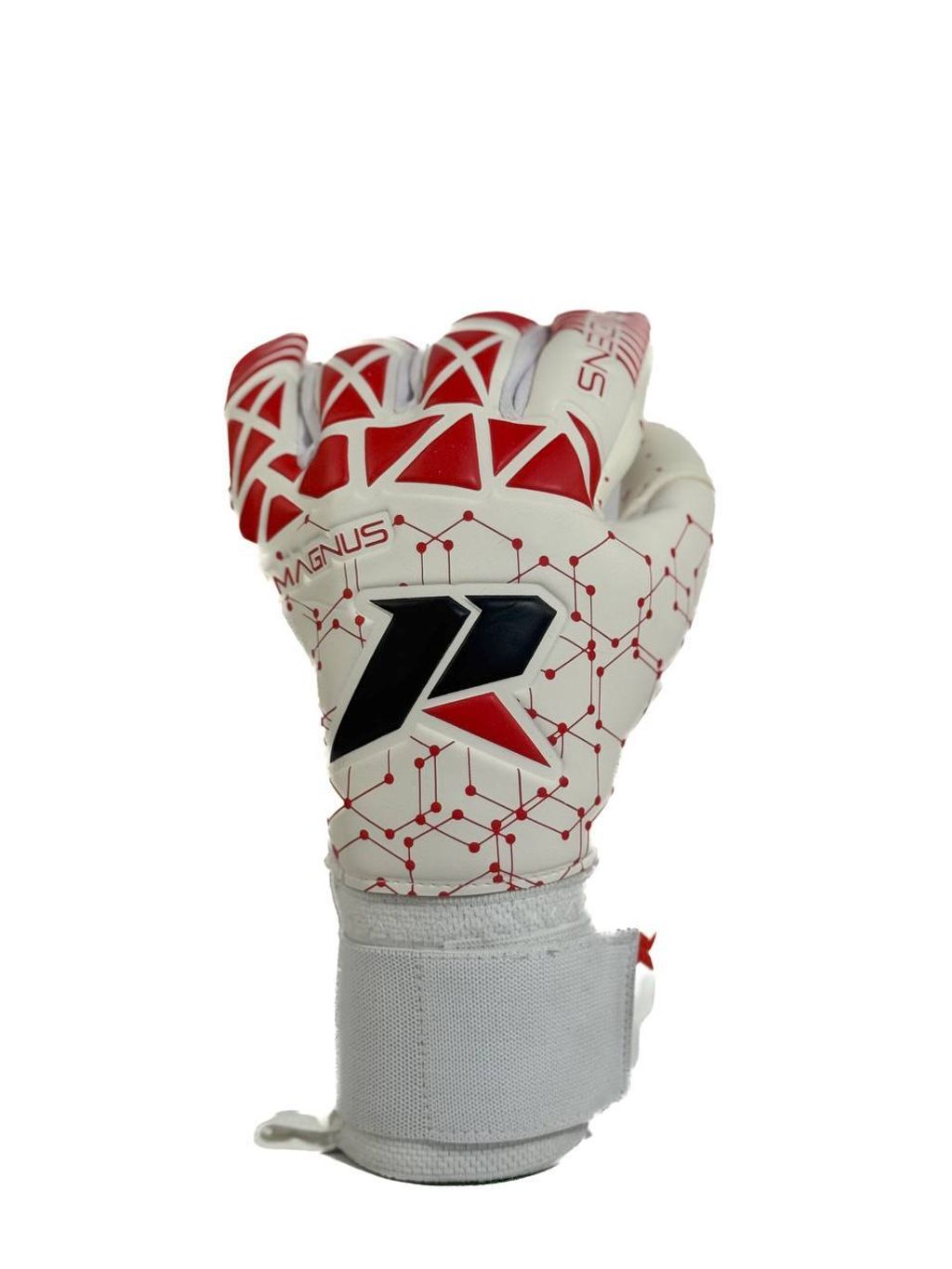 IMG_4349-1735891560219