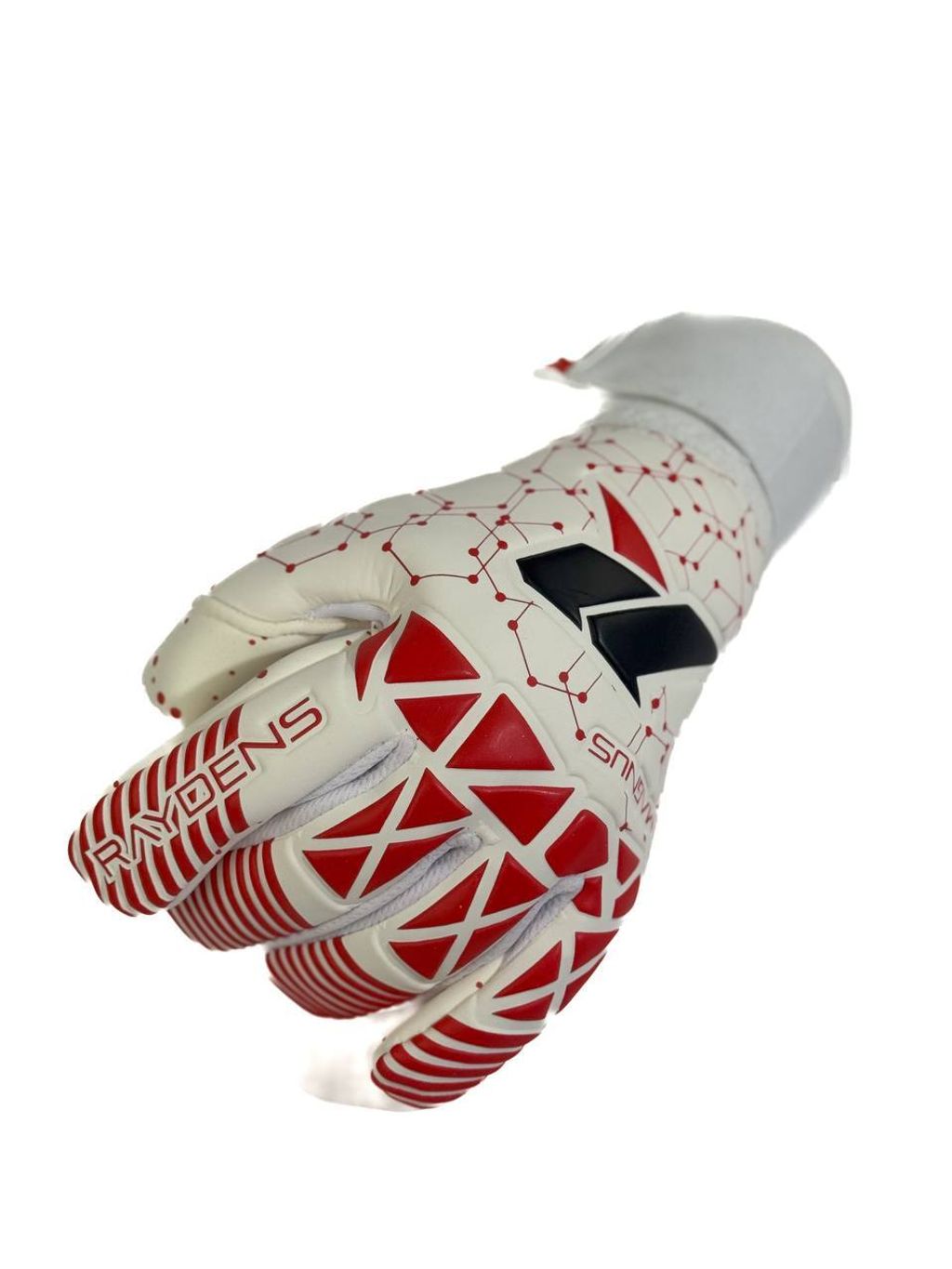 IMG_4351-1735891560225