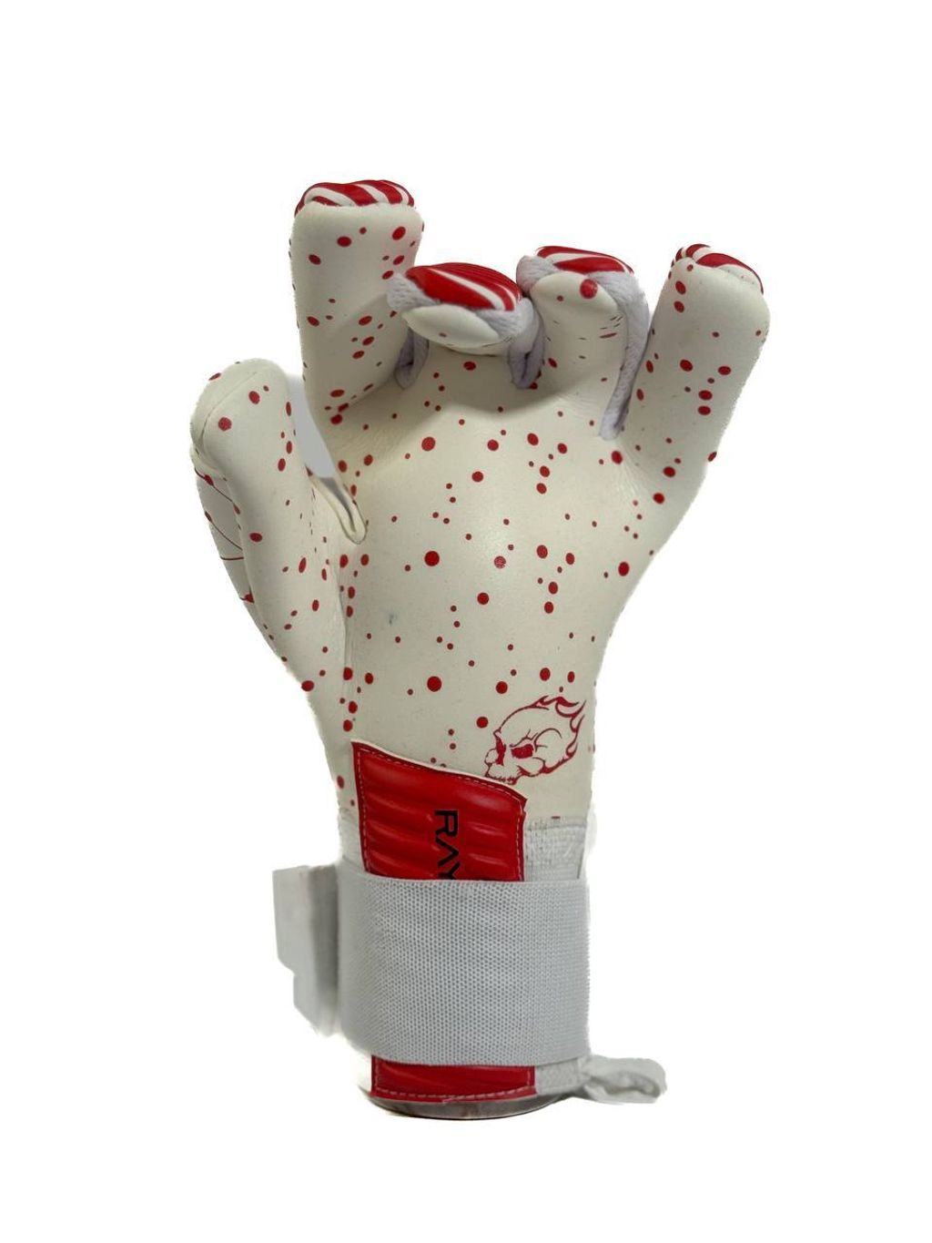 IMG_4350-1735891560223