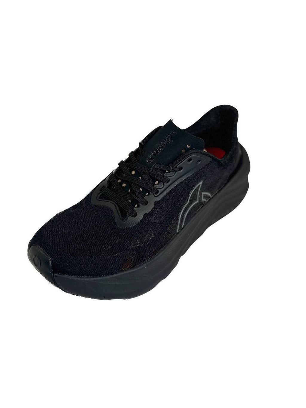 photo_2025-01-09_18-36-15