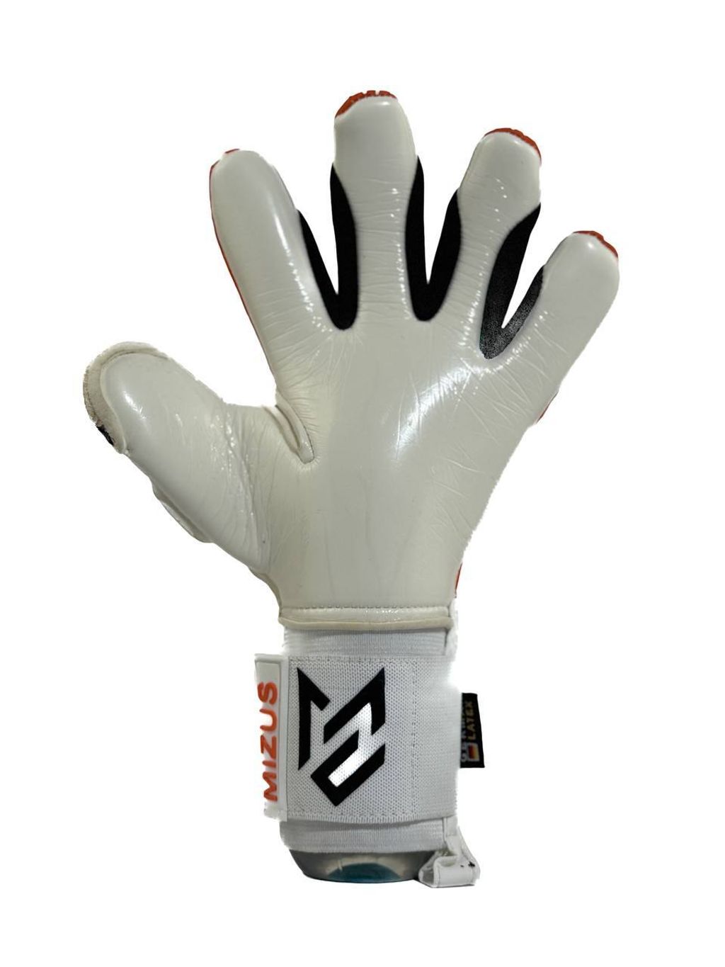 IMG_4183-1736605916326