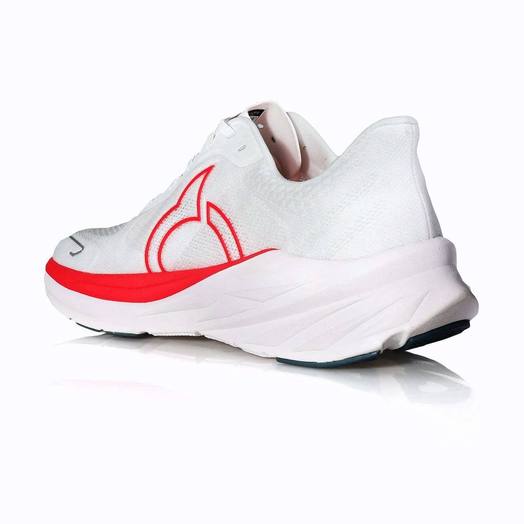 photo_2025-05-02_11-37-26