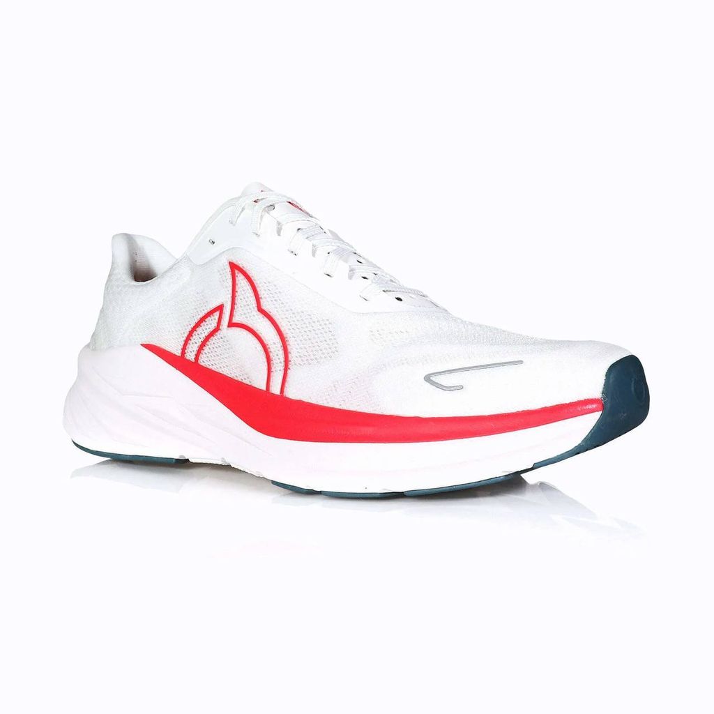 photo_2025-05-02_11-37-25