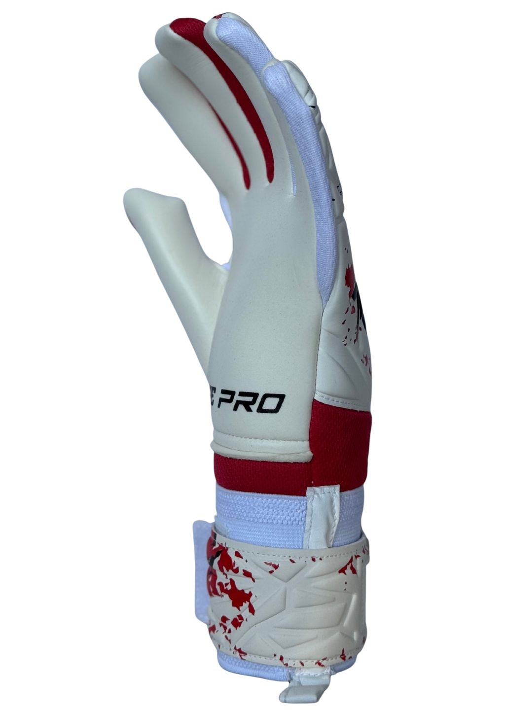 image_A2EEE019-B8DA-4539-AE15-26E129B568B1_1759650296