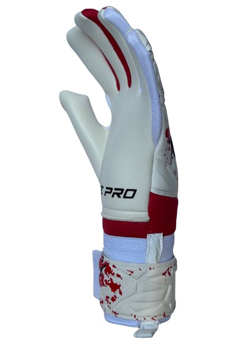 image_A2EEE019-B8DA-4539-AE15-26E129B568B1_1759650296