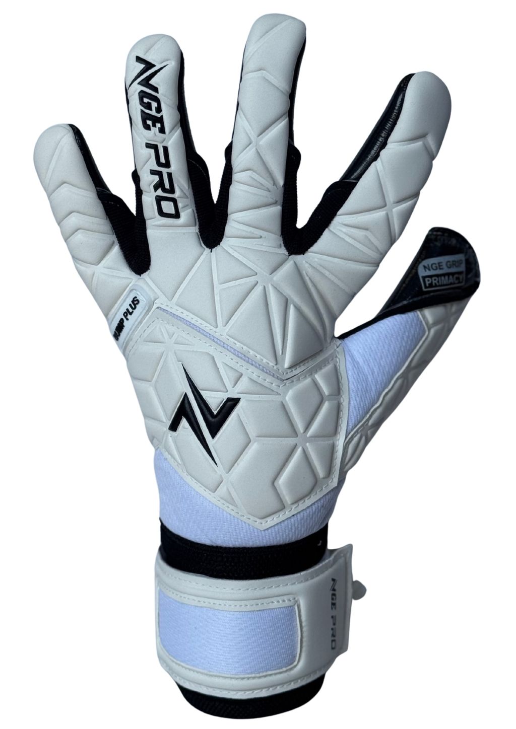 image_2D4F828B-5A42-4872-AF82-C8DD79C4DB87_1759650643