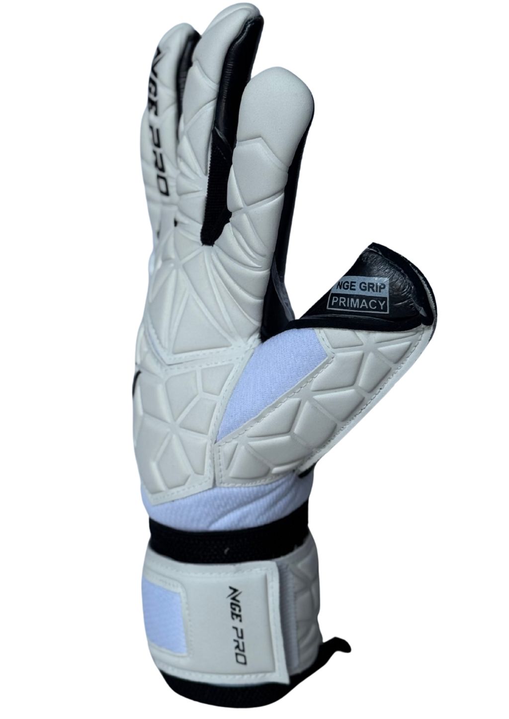 image_D3A887E9-0503-445B-8637-DBE81AA06AA4_1759650643