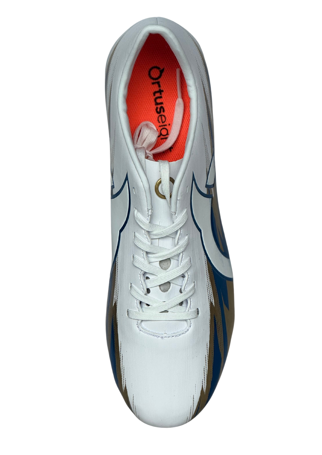 image_4848DADF-E985-48FA-8F34-B166FE1A5D10_1759996633