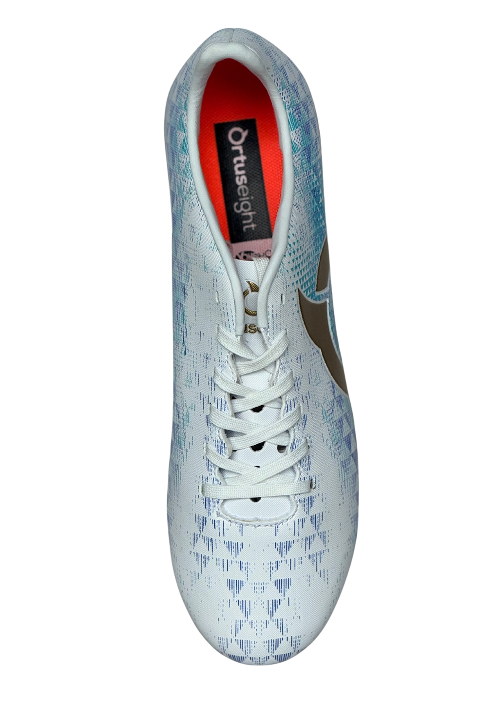 image_5F8C08E4-600C-4B4C-B141-57994ED68167_1759997961