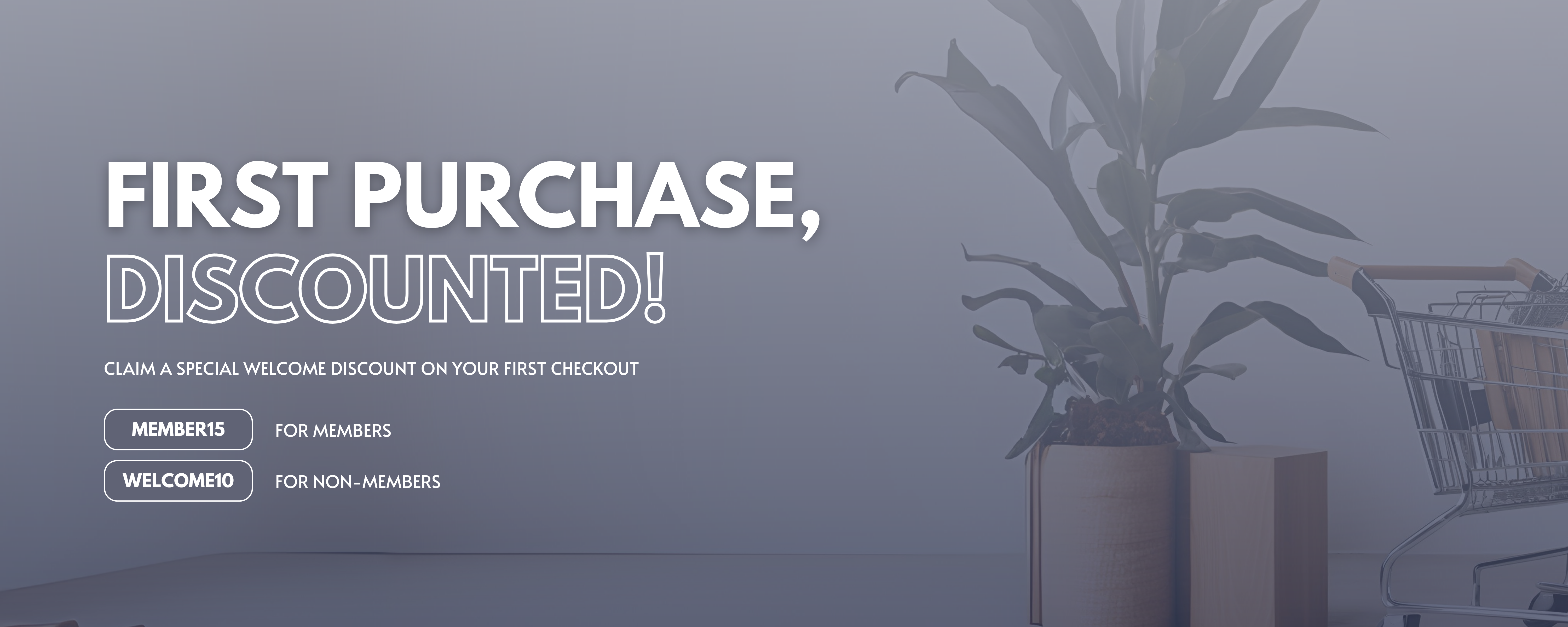  | The Scent Shop