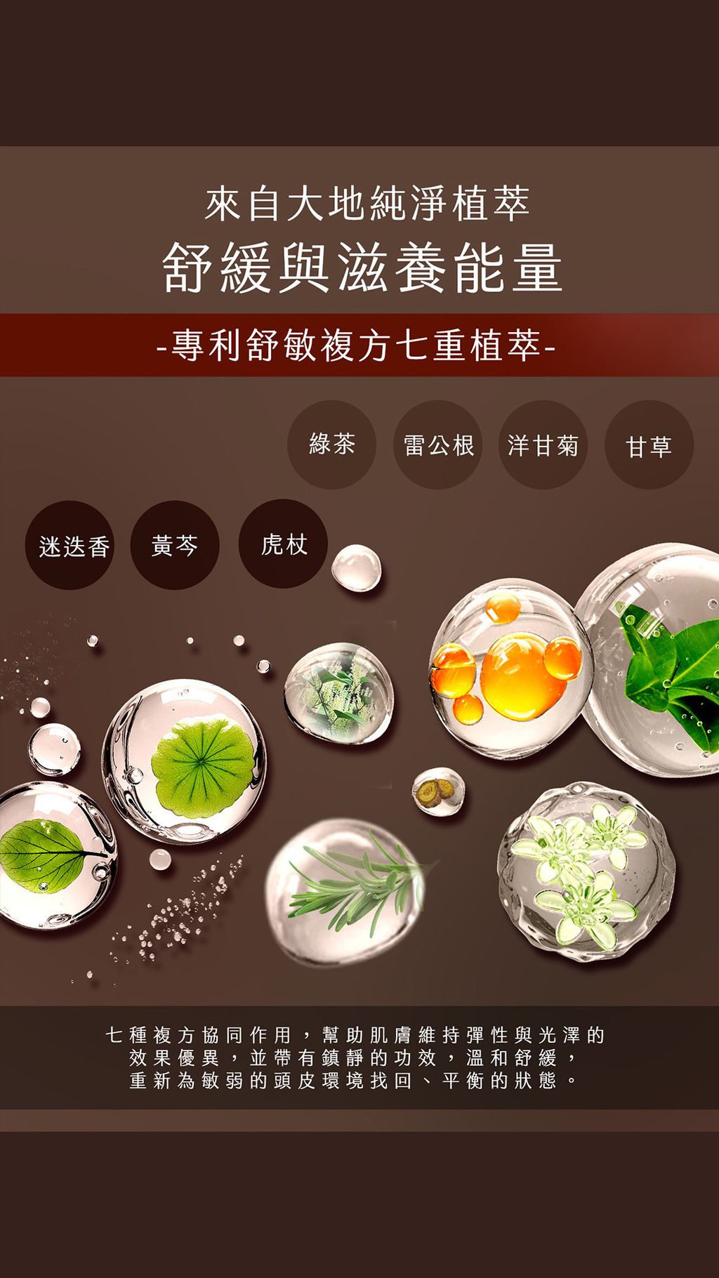 image_3B1DB129-2066-4E50-8314-AF86039B842A_1770629632