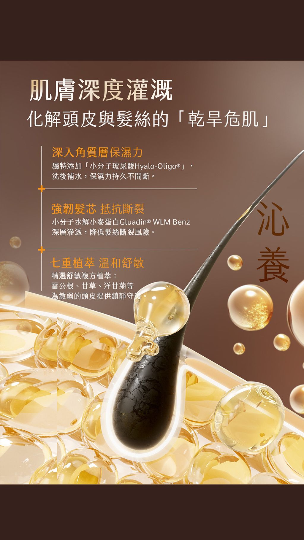 image_6EA3D9F9-DEB6-4C5A-A89C-AA495BEBEAE9_1770629632