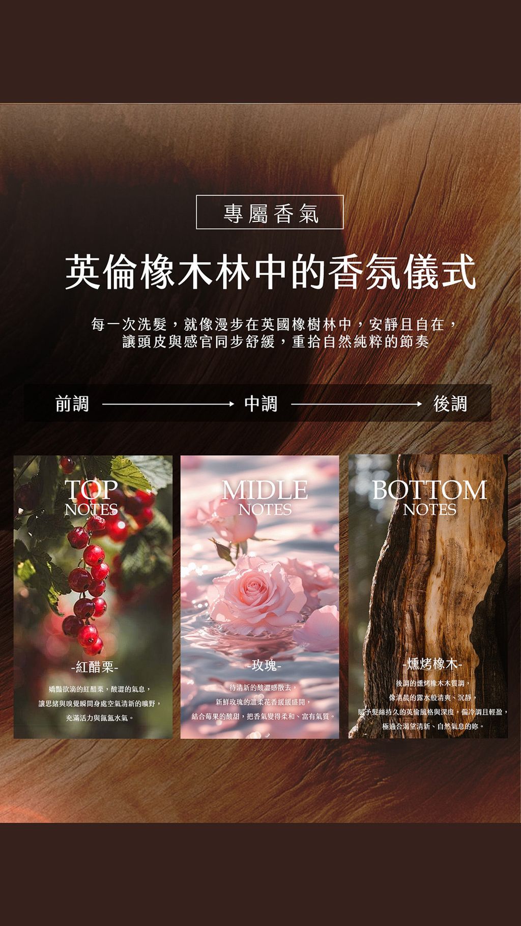 image_B0029622-C822-4015-B71B-6BD9C755E118_1770629632