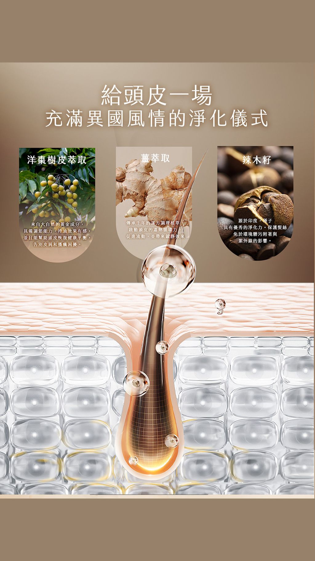 image_9A85BCD9-D9B6-4872-822F-69AC7F327309_1770629810