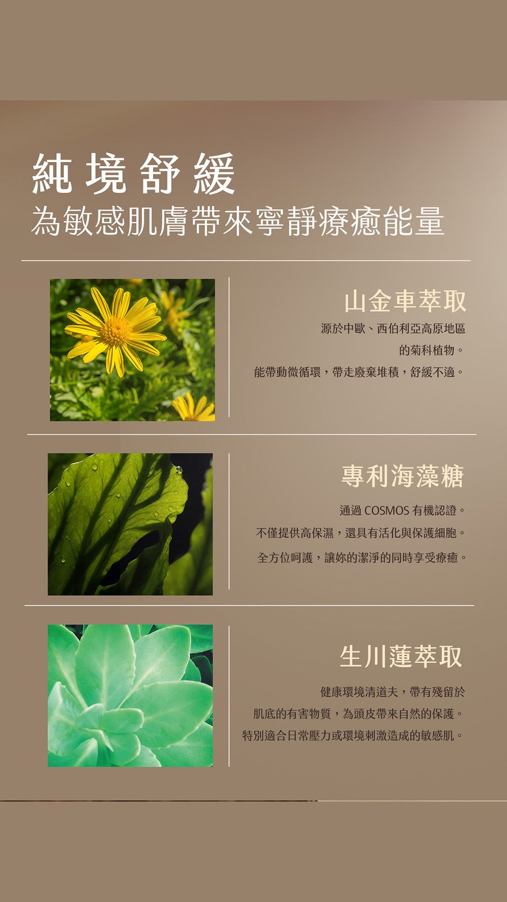 image_BACB1155-8216-4E3A-BD80-AD61BF58AE35_1770629810