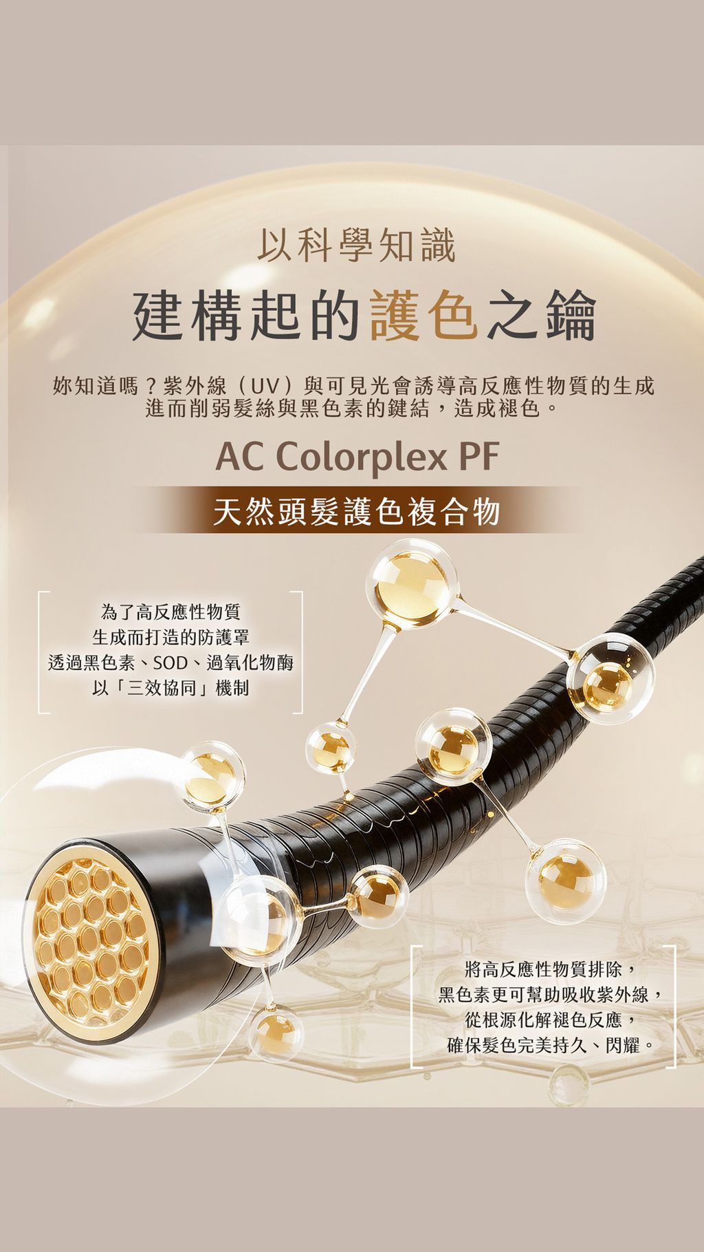 image_B2035829-ADDC-40D4-85F7-80E7A6831617_1770629947