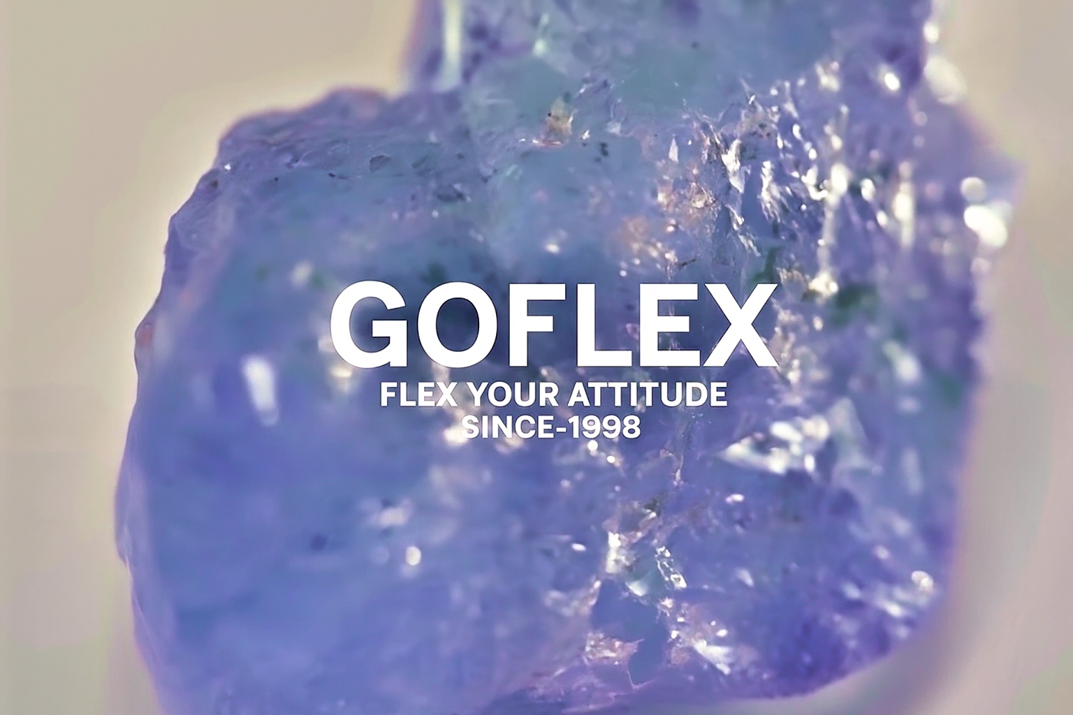 
「GO-FLEXING®」