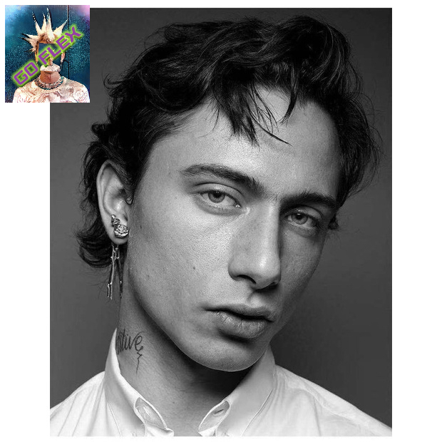 tw-11134211-7r98o-lp383vtgc6sz24