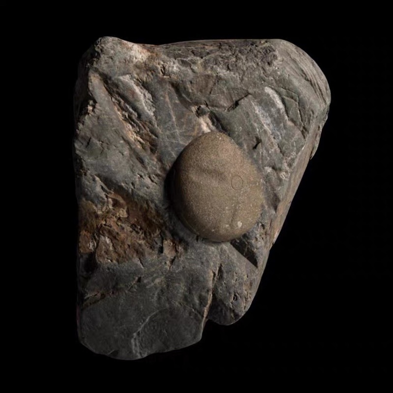 3ef8c55e9f44a3a39cba12b56e33a5af