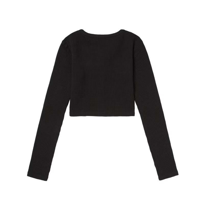 IMG_2236-1734633744975