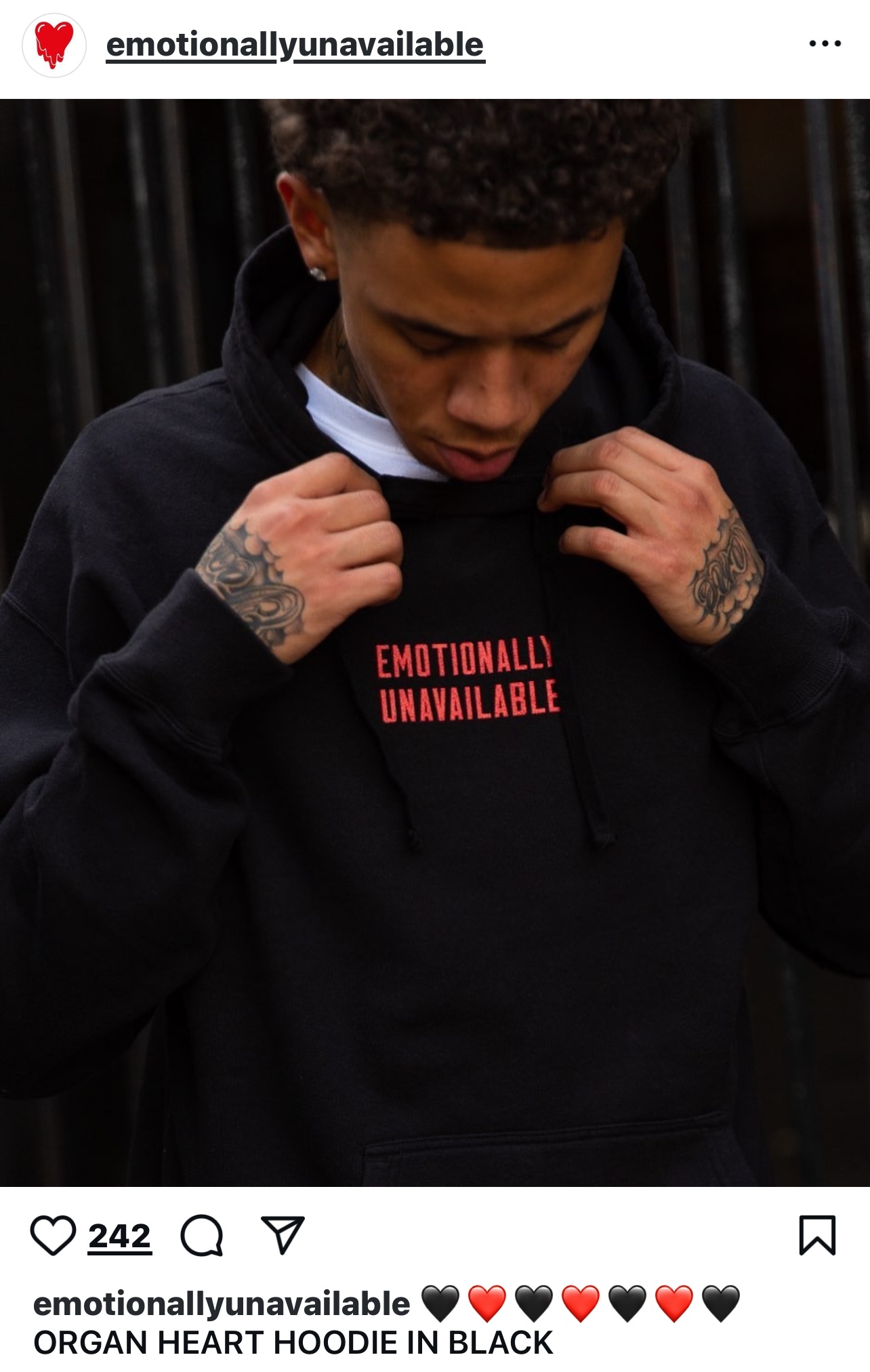 IMG_3435-1735465723009