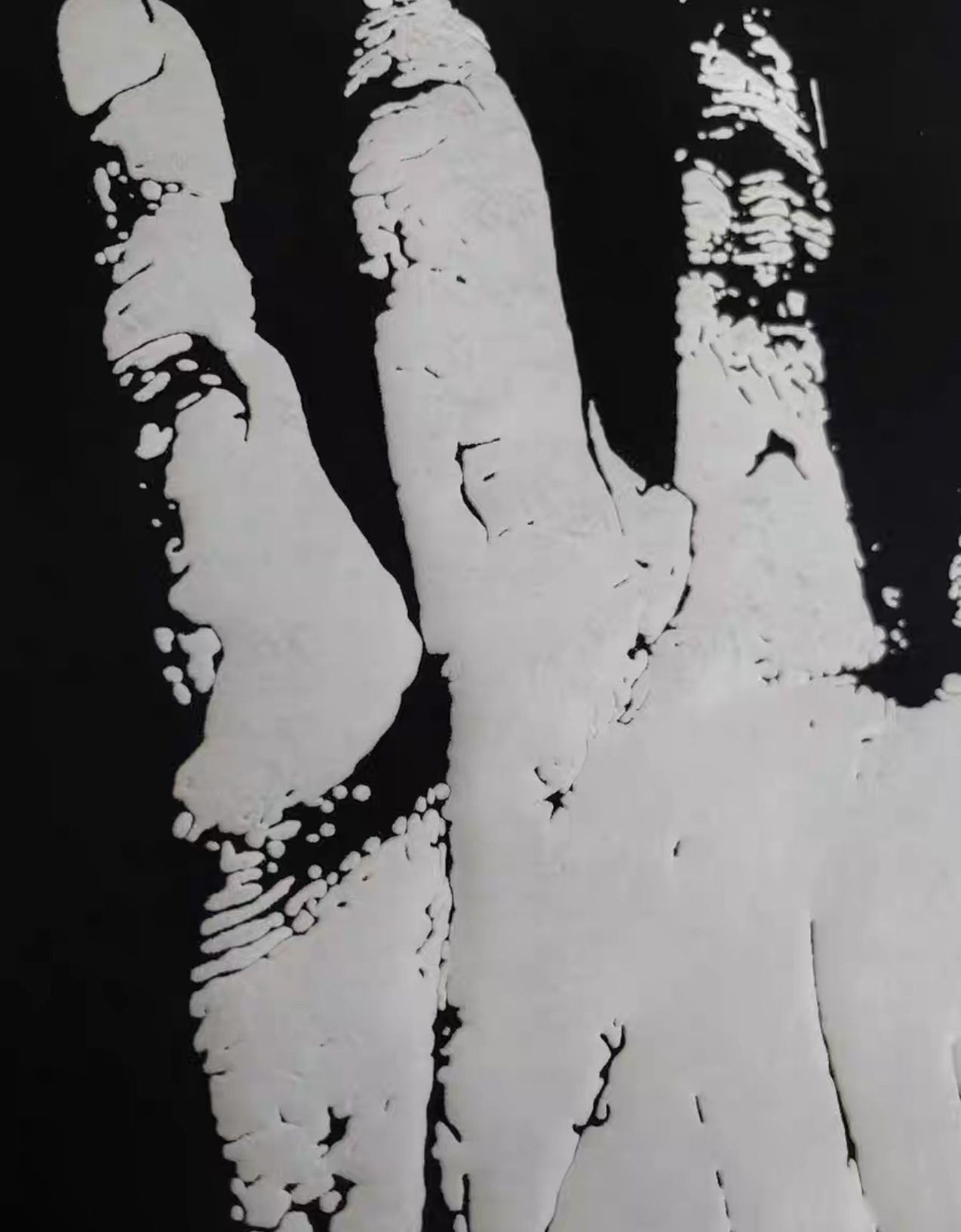 IMG_3827-1735765217308