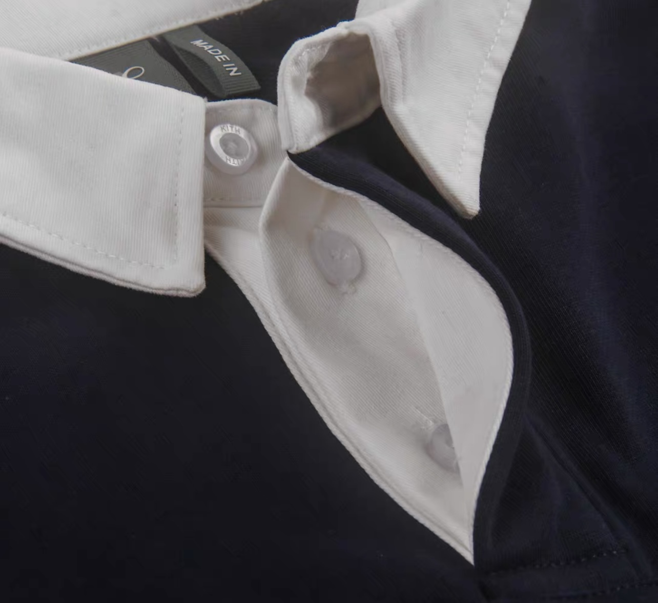 IMG_3964-1735942772528