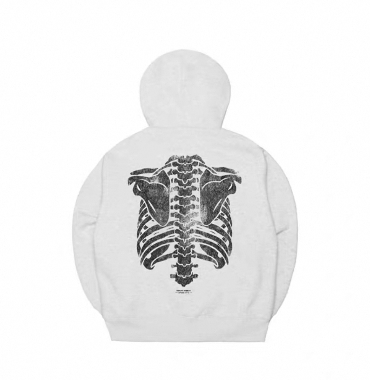 image_46960C14-67C4-46E9-9BEB-4576CA5BDF9B_1760406944