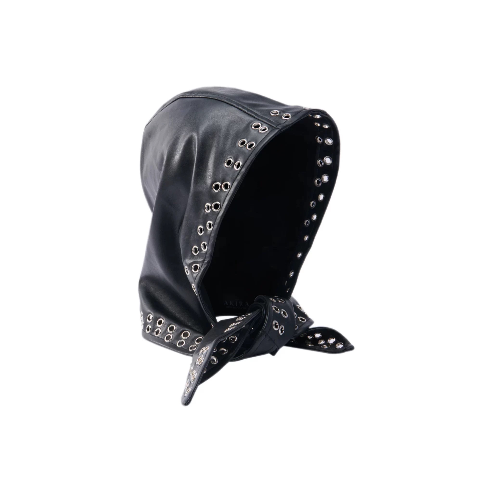 image_1F6005F9-337D-4D36-8B83-44EF523C48D8_1766445871