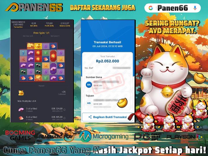 Testi P66 9 juli 2024 1